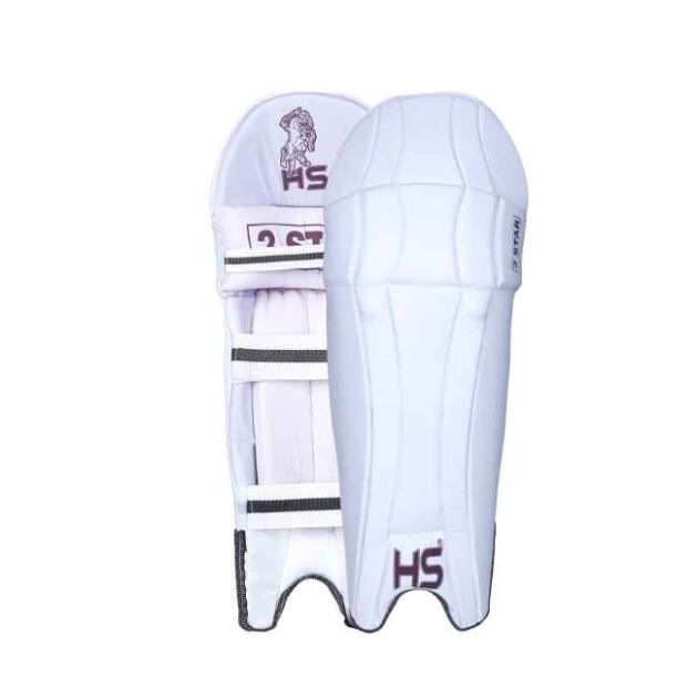 HS 2 Star Batting Pads
