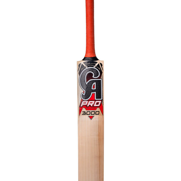 CA PRO 3000