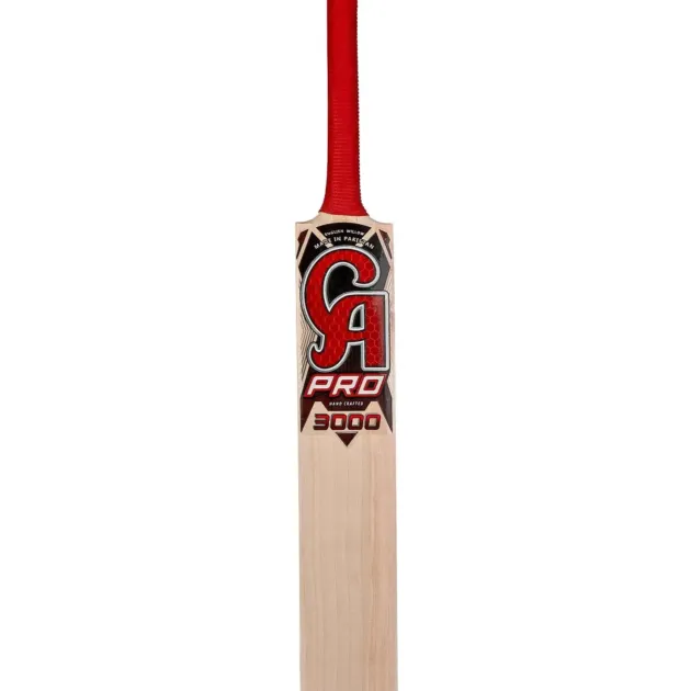 CA Pro 3000