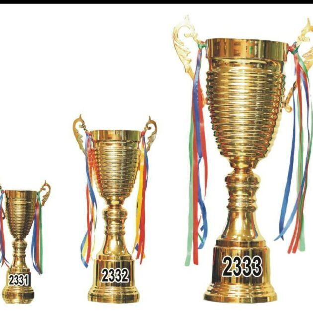 Metal Trophies ( 3 sizes )