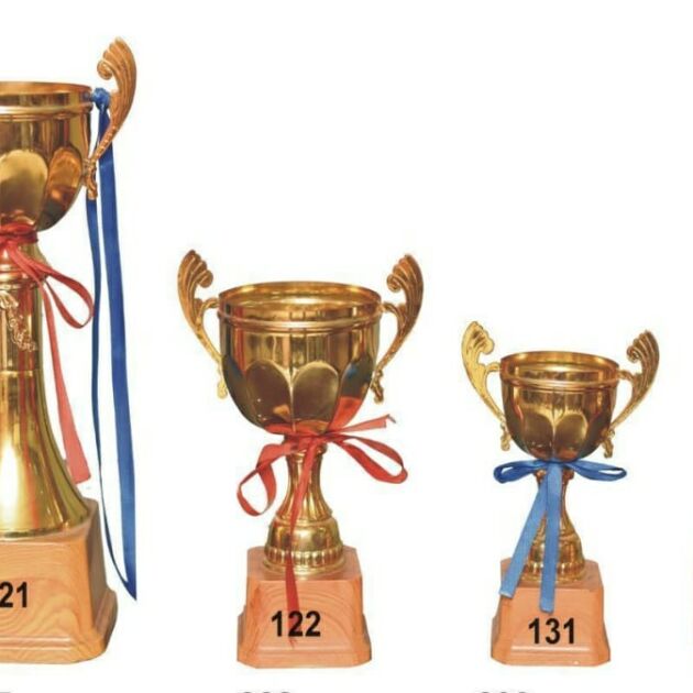 Metal Trophies ( 3 Sizes )