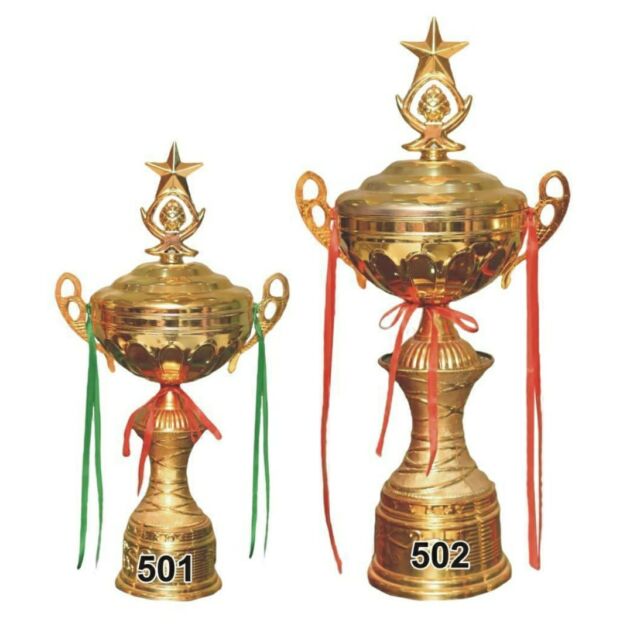 Metal Trophies ( Winner and runner up Trophy )